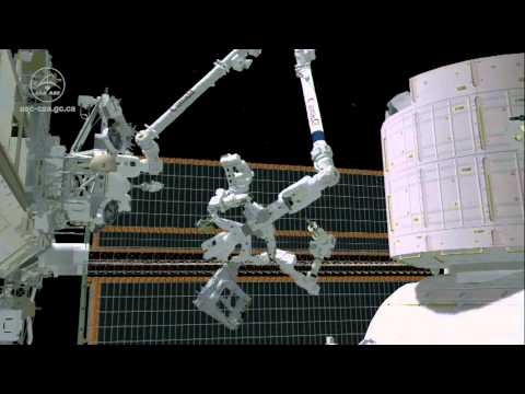 Space Station Robotic Handyman To Replace Canadarm2 Camera | Video - UCVTomc35agH1SM6kCKzwW_g