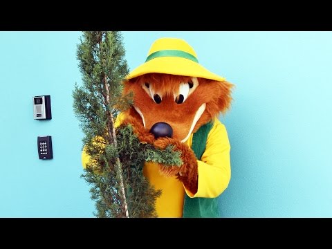 Br'er Fox Plays Hide & Seek Behind a Small Tree at Disney's Hollywood Studios, Meet & Greet - UCe-gHr2O_LP7t0YJYHZQZlg