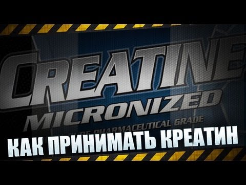 Как принимать креатин - UCMS73TwC5waNG-iknY2KTug