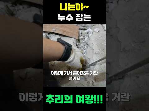 언니설비 쇼츠