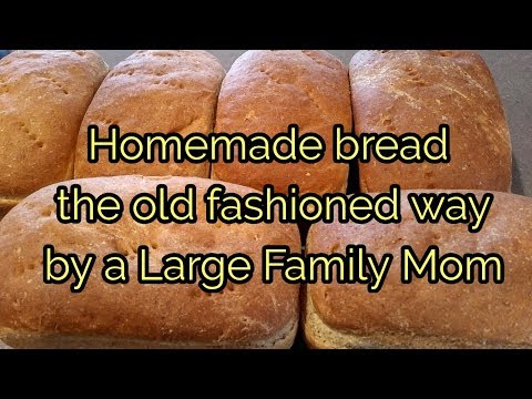 HOMEMADE BREAD the old fashioned way and PUMPKIN MUFFINS LARGE FAMILY STYLE