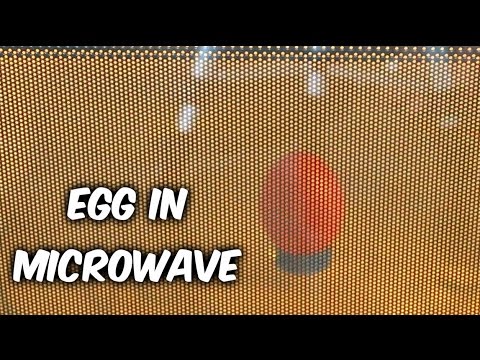 What Will Happen if you Microwave an Egg - UCe_vXdMrHHseZ_esYUskSBw