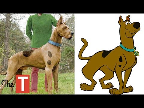 10 Kids Cartoon Characters SEEN IN REAL LIFE - UC4qGmRZ7aLOLfVsSdj5Se2A