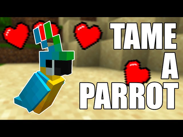 How To Find and Tame Parrots in Minecraft