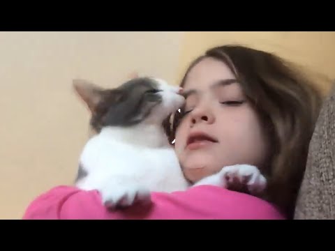 Cats Don't Like Things | Funny Cat Video Compilation 2017 - UCPIvT-zcQl2H0vabdXJGcpg
