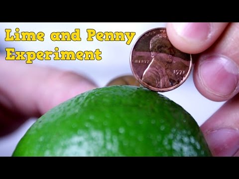 Lime and Penny Experiment - UCe_vXdMrHHseZ_esYUskSBw