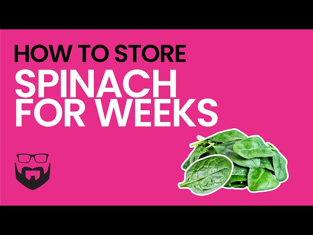 How To Preserve Spinach In Fridge?