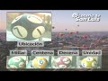 Quiniela La Previa de San Luis N° 884 12-05-2025