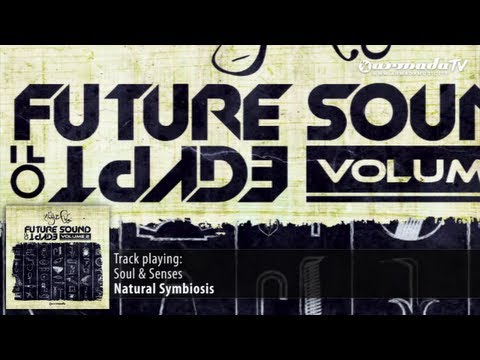 Out now: Aly & Fila - Future Sound Of Egypt - Volume 2  (Album Preview 2) - UCGZXYc32ri4D0gSLPf2pZXQ