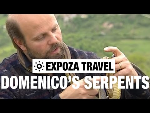 The San Domenico's Serpents (Italy) Vacation Travel Video Guide - UC3o_gaqvLoPSRVMc2GmkDrg