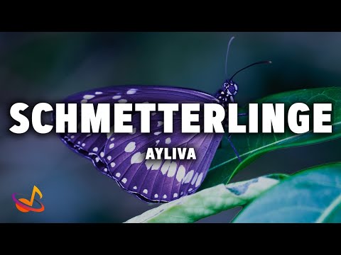 AYLIVA - SCHMETTERLINGE [Lyrics]