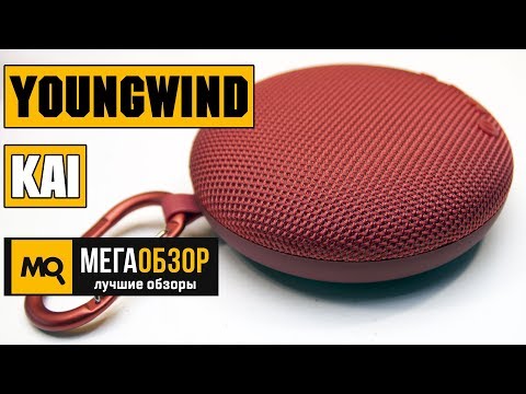 YOUNGWIND KAI обзор колонки - UCrIAe-6StIHo6bikT0trNQw