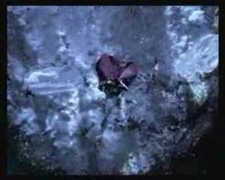 M People - Testify
