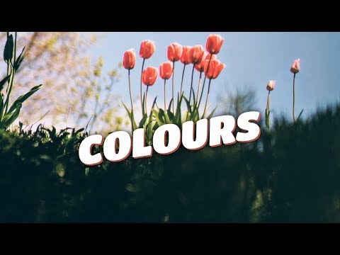 Zeus X Crona & Denis Elezi & Chris Linton - Colours (Lyrics Video) [No Copyright] - UCp6_KuNhT0kcFk-jXw9Tivg