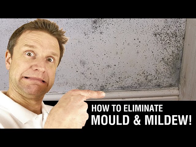 Can You Paint Over Mildew?