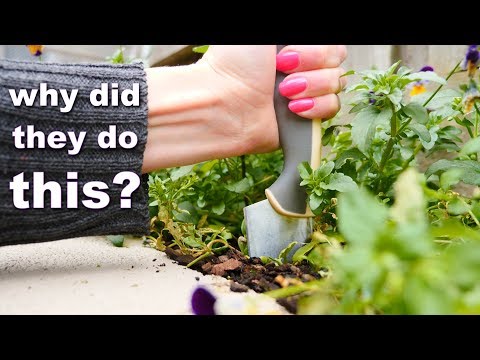 100 year old WEIRD baking hacks | How To Cook That Ann Reardon