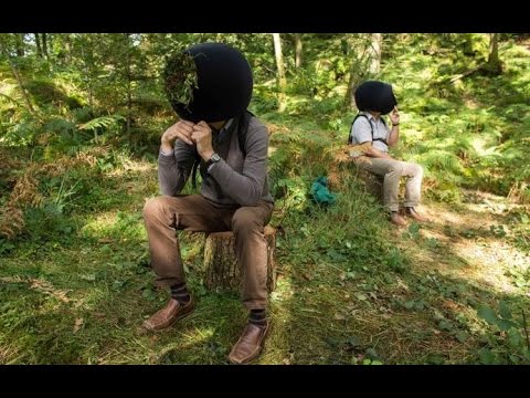 Tomorrow Daily - VR experience gives viewers a forest animal's POV, Ep. 262 - UCOmcA3f_RrH6b9NmcNa4tdg