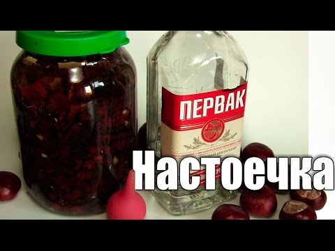 Делаем настойку каштана - UCu8-B3IZia7BnjfWic46R_g