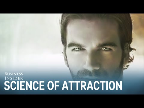 The Science Of Attractiveness - UCcyq283he07B7_KUX07mmtA