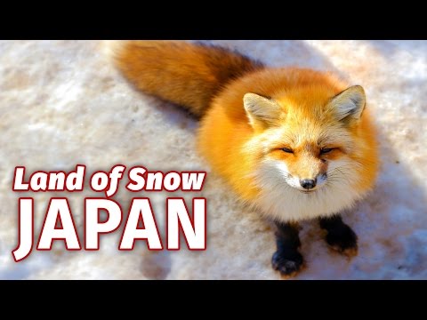 Why Japan is the Snow Capital of the World - UCHL9bfHTxCMi-7vfxQ-AYtg