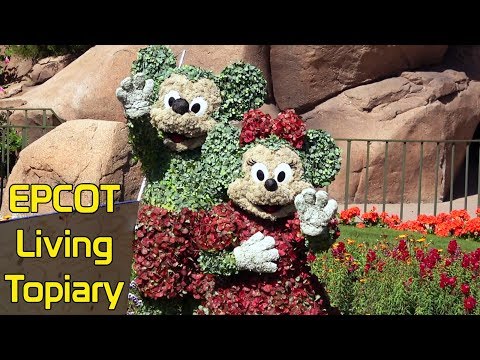 Mickey and Minnie as LIVING TOPIARIES to Promote Epcot Flower & Garden Festival 2018, Disney World - UCe-gHr2O_LP7t0YJYHZQZlg