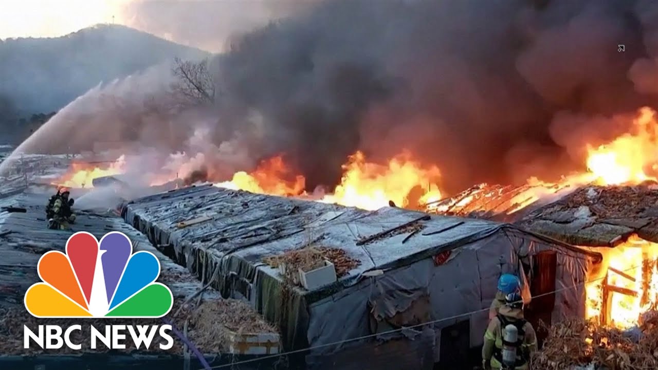 60 homes destroyed as fire rips through Seoul shanty town