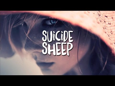 Seven Lions - She Was (feat. Birds Of Paradise) - UC5nc_ZtjKW1htCVZVRxlQAQ