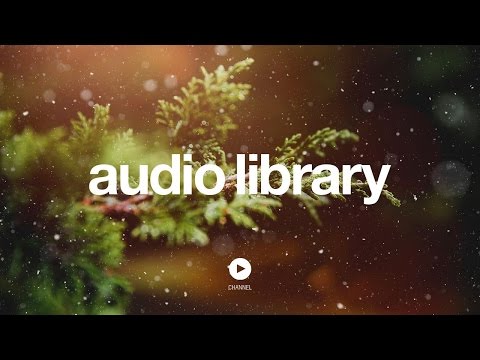 [No Copyright Music] Dance of the Sugar Plum Fairy - Kevin MacLeod - UCht8qITGkBvXKsR1Byln-wA