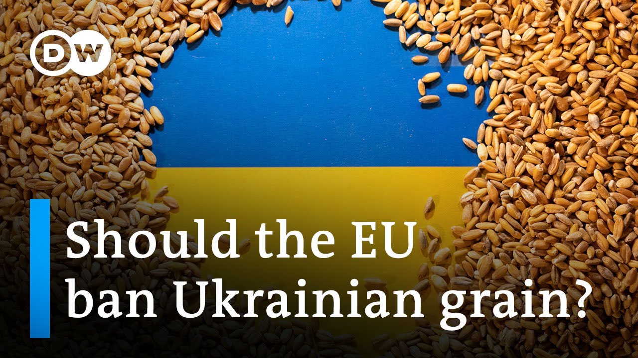 Poland, Slovakia and Hungary ban Ukrainian grain to protect own agriculture | DW News