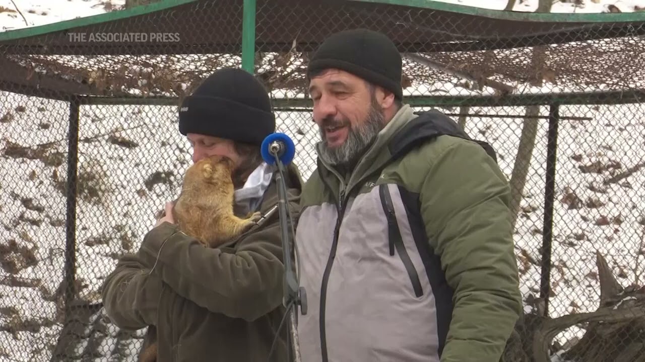 Ukraine groundhog predicts six more weeks of winter