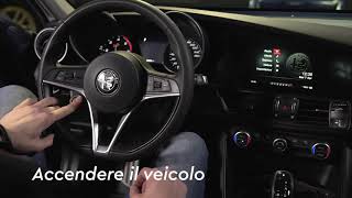 Resettare Spie Anomalia Motore Alfa Romeo STELVIO