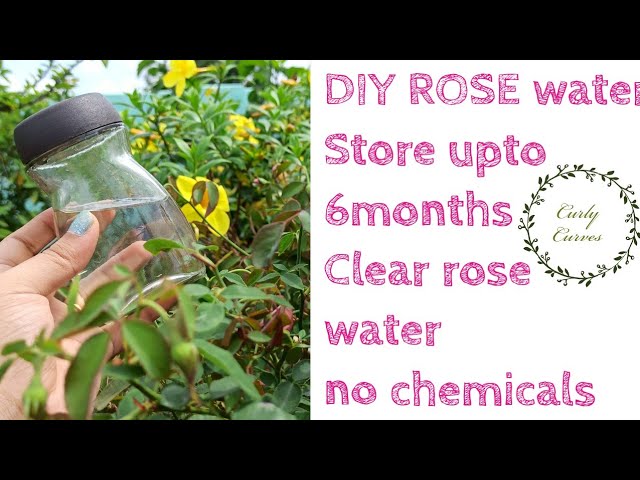 How to Preserve Homemade Rose Water?