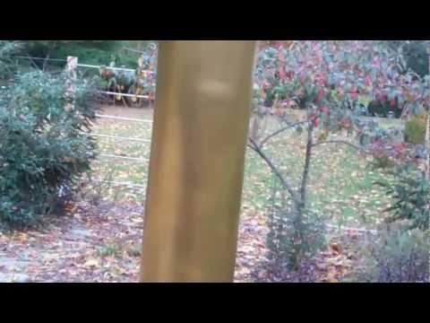 Simple Squirrel and Raccoon Barrier for Bird Feeders - UCgiEzeepUWpdOur06xahRhg