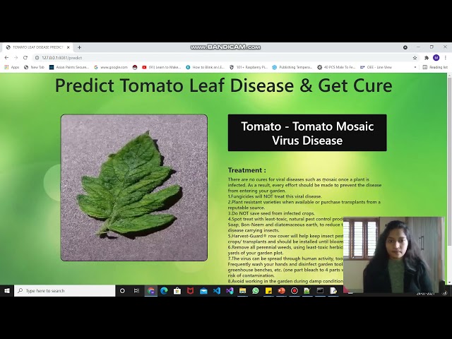 Plant Disease Classification Using Deep Learning