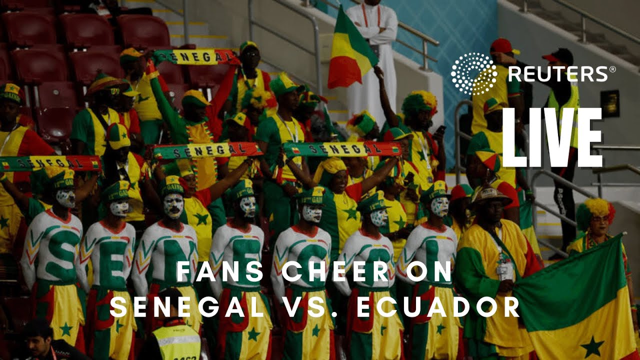 LIVE: World Cup fans in Dakar cheer on Senegal as they take on Ecuador
