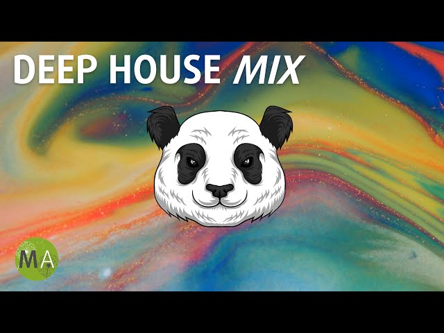 Deep House Study Music: The Best Way to Concentrate
