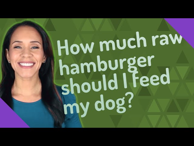 Can Dogs Eat Hamburger Meat HayFarmGuy