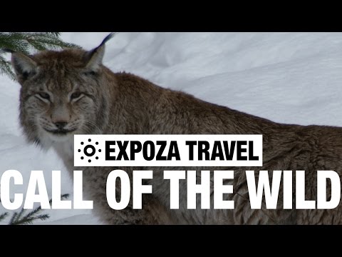 Call Of The Wild Vacation Travel Video Guide - UC3o_gaqvLoPSRVMc2GmkDrg