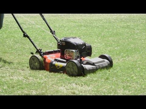 Do This for a Healthier Lawn  | Consumer Reports - UCOClvgLYa7g75eIaTdwj_vg