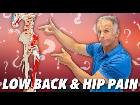 Low Back & Hip Pain? Is it Nerve, Muscle, or Joint? How to Tell. - UCmTe0LsfEbpkDpgrxKAWbRA