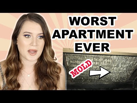 RANT/STORYTIME: LIVING IN THE WORST APARTMENT - UCFK38AHf8dMg4vwb1nsvKqQ