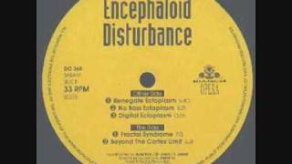 Encephaloid Disturbance - Renegade Ectoplasm (ACID)