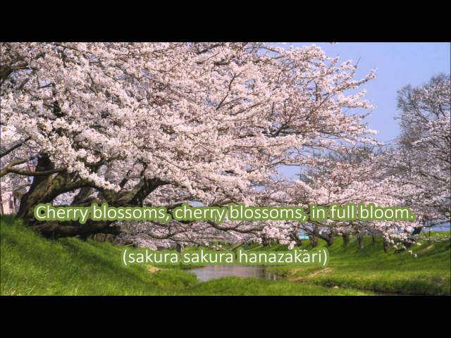 Sakura – A Traditional Japanese Folk Song