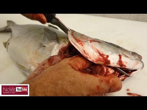 How To Fillet A Whole Hiramasa - How To Make Sushi Series - UCbULqc7U1mCHiVSCIkwEpxw