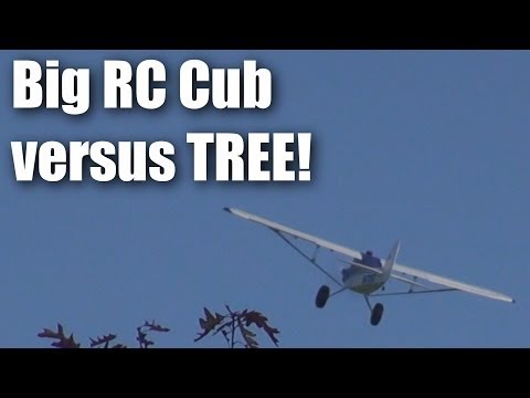 Big RC Piper Cub versus tree - UCQ2sg7vS7JkxKwtZuFZzn-g