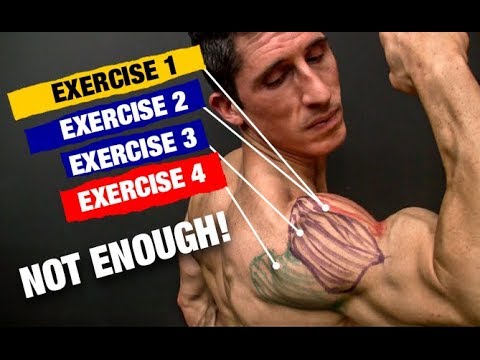 The PERFECT Shoulder Workout (Sets and Reps Included) - UCe0TLA0EsQbE-MjuHXevj2A