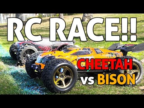 RC Car SPEED RACE!! Cheetah vs Bison - UCgyvzxg11MtNDfgDQKqlPvQ