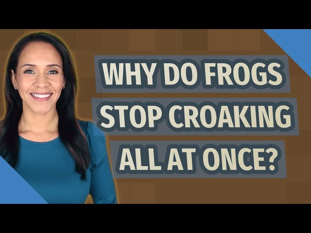 Why Do Frogs All Stop Croaking At Once?