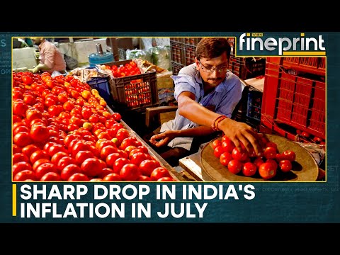 Indian Economy: Retail Inflation Drops To 1.55% In July | WION Fineprint