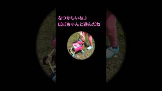 動画サムネイル